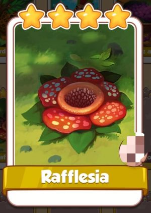 rafflesia coin master coinmastertricks.com comprar carta buy card